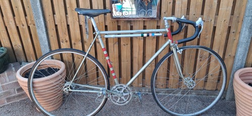 Vintage 1950s pollard - 1950s,