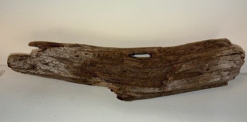 Florida driftwood long - florida,