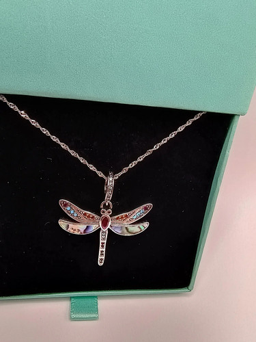 Paua shell dragonfly s925 - paua,