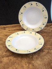 Pair 2 Royal Doulton Blueberry