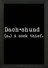 Dachshund A Sock Thief Framed