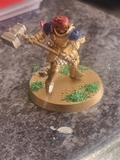 Painted warhammer figures - painted,