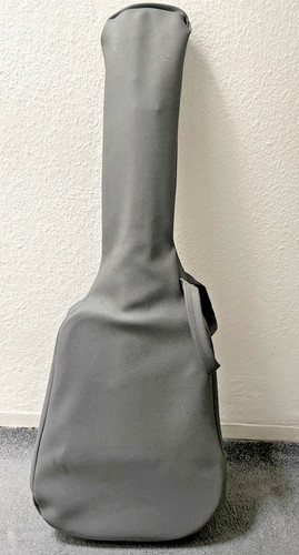 Aria acoustic guitar 20n - aria,