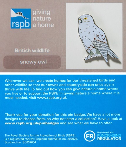Rspb pin badge gnah - pin, snowy