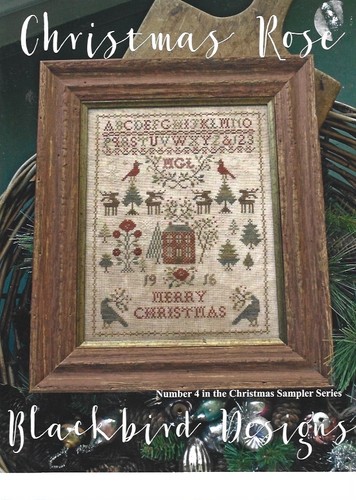 Christmas rose blackbird - rose,