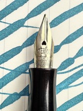 Waterman 0552 14K Gold Wet