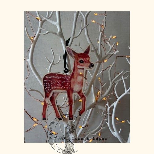 Woodland animals fawn deer - animals,