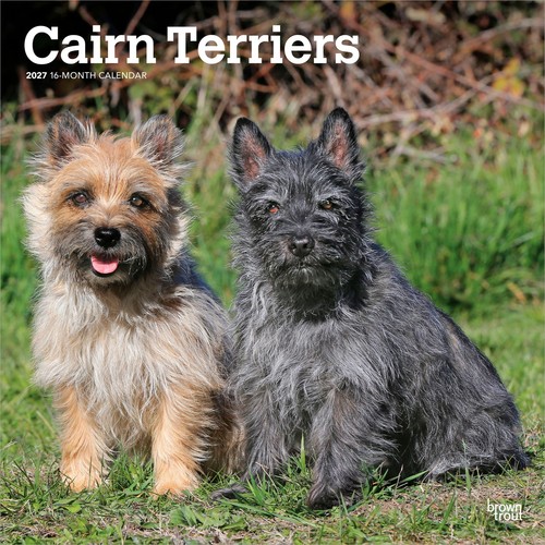 Cairn terriers 2027 12x24 - 2027, 12x24"