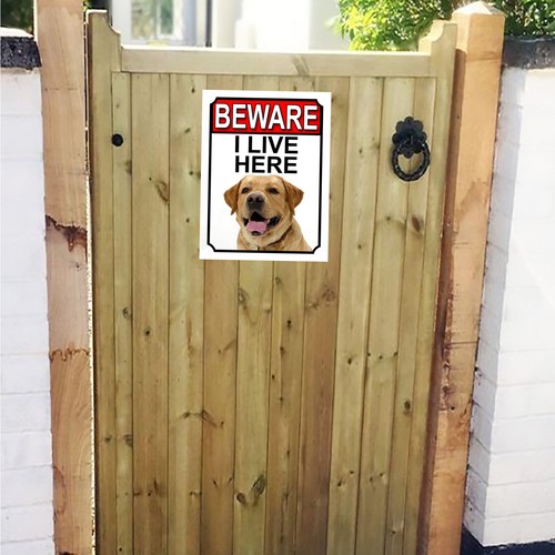 Beware live here - i,