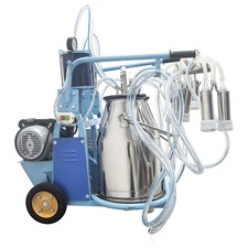 50L Electric Cow Milking