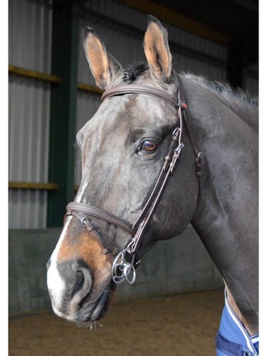 John whitaker ready - whitaker, ride