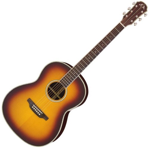 Aria meister series acoustic - series,