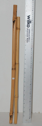 Bamboo poles reptiles - reptiles,, craft