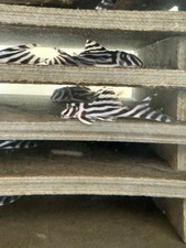 Juvenile L046 Zebra Pleco
