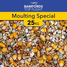 Bamfords moulting special - bamfords,