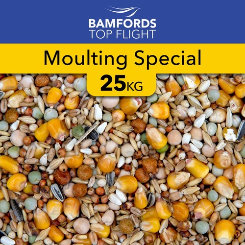 Bamfords moulting special - bamfords,