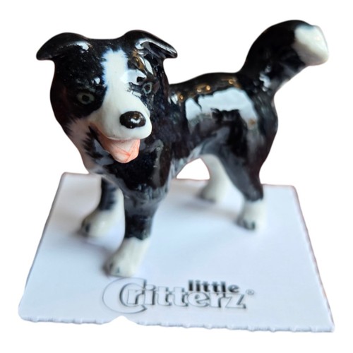 Little critterz dog border - little,