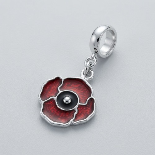 Sterling silver enamelled - silver,