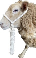 SHEEP COTTON ROPE HALTER WHITE