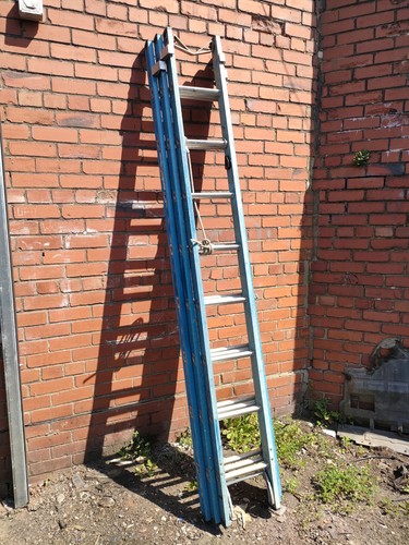 Lyte ladder triple - ladder, box