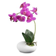 Artificial Orchid 60cm Flower