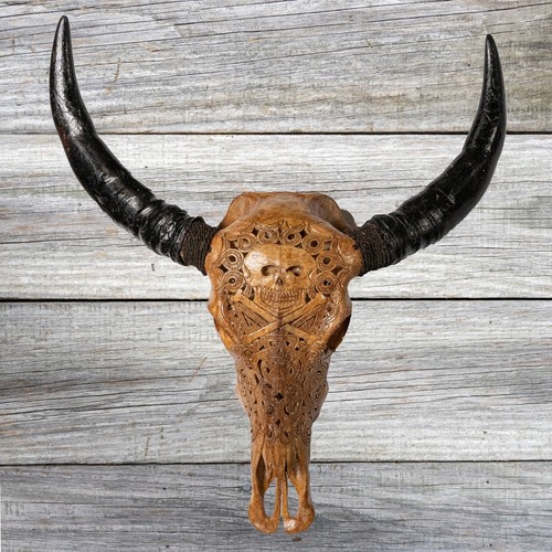 Large murrah buffalo skull - murrah, &