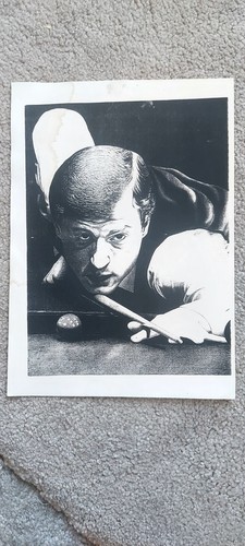 Professional snooker player - professional,