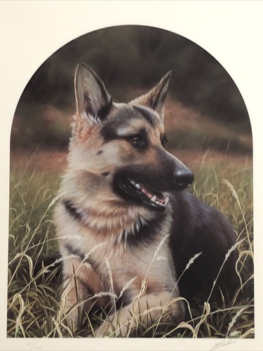 German shepherd classic breeds - classic,