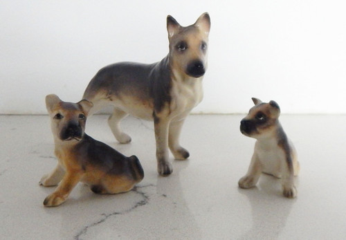 German shepherd mom - shepherd, with