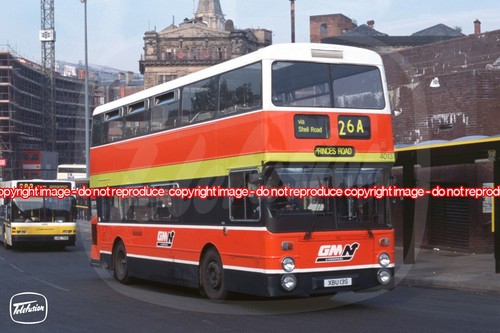 Bus photo buses north - photo,