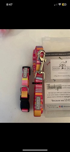 Dog collar and lead - dog,