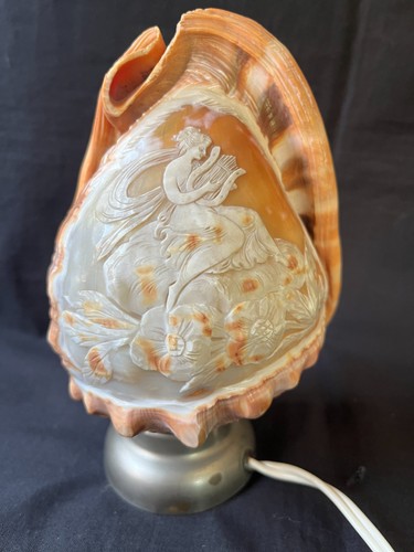 Antique carved conch shell - carved,