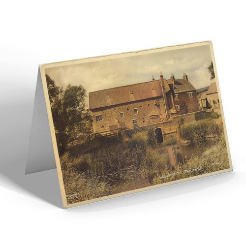 Greeting card vintage - greeting,