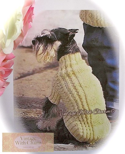 Dog coat knitting pattern - dog,