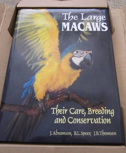 The large macaws their - large,