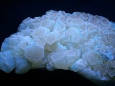 KB: FANTASTIC FL. & PHOS