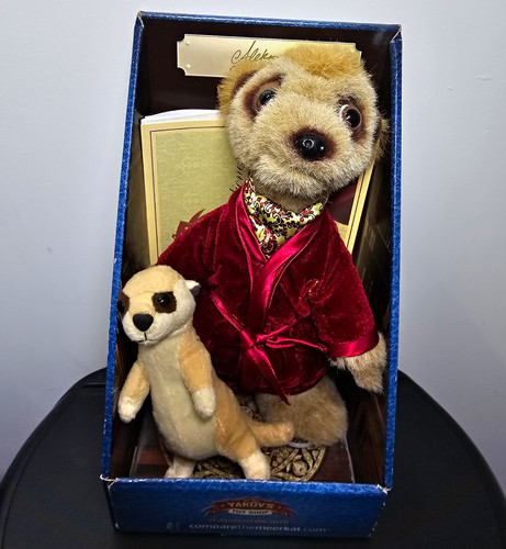 Compare the market aleksandr - compare,