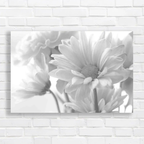 Soft tone daisy flower bouquet - soft,