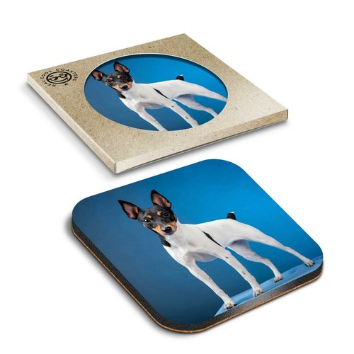 Boxed square coasters - boxed,