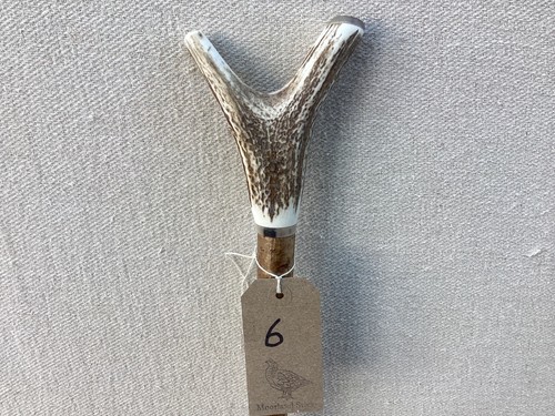Red deer antler walking - deer,
