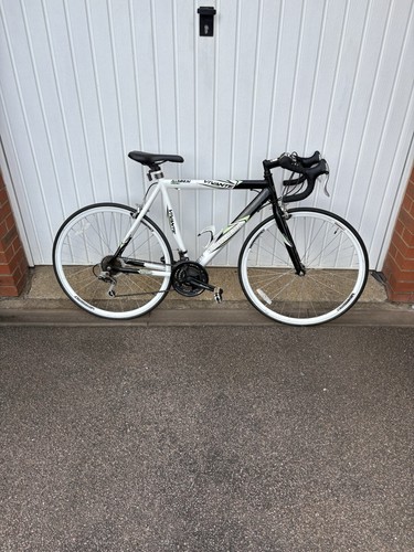 Barracuda men road bike - barracuda,