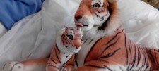 44" Long Stuffed Tiger Toy