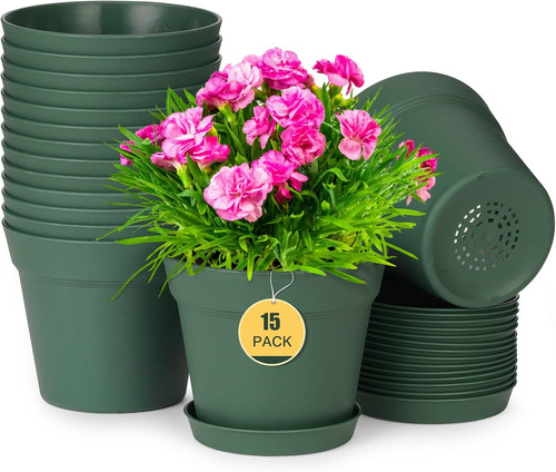 Plant pots pack inch - pack,