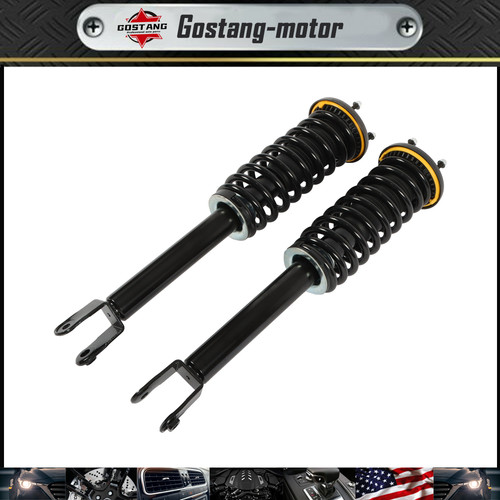 Front shock struts - 2x, assembly
