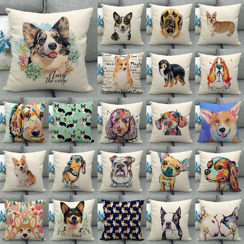 Pet dog welsh corgi - corgi, sofa
