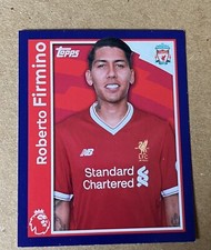 MERLINS PREMIER LEAGUE 2018