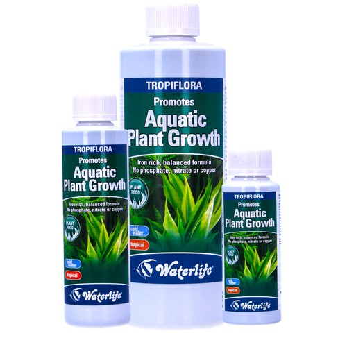 Waterlife tropiflora aquatic - waterlife,