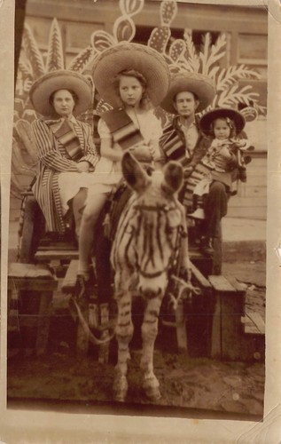 1943 family mexican zebra - 1943,