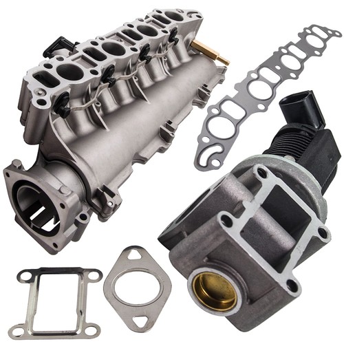 Intake manifold egr - manifold+egr, for