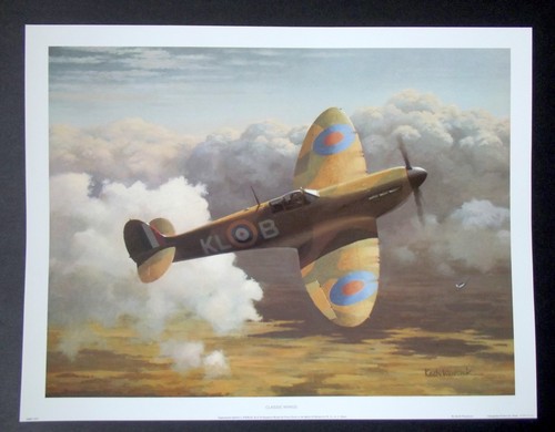 Aviation art print spitfire - aviation,